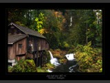 "Cider Day 2011"
Cedar Creek Grist Mill, Woodland, Washington
28x20
Serial #ALSSF3P00001
Sold