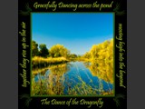 Autumn's Glow - Ridgefield, Washington
Dance of the Dragonfly Book Scene
5x5 Free Float Wall Print
Laminated on 1/4" Sintra
OR
Furniture Friendly Coaster Set
Available:  Contact Us