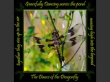 Eight-Spotted Skimmer
Dance of the Dragonfly Book
5x5 Free Float Wall Print
Laminated on 1/4" Sintra
OR
Furniture Friendly Coaster Set
Available:  Contact Us