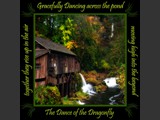 Cedar Creek Grist Mill
Dance of the Dragonfly Book Scene
5x5 Free Float Wall Print
Laminated on 1/4" Sintra
OR
Furniture Friendly Coaster Set
Available:  Contact Us