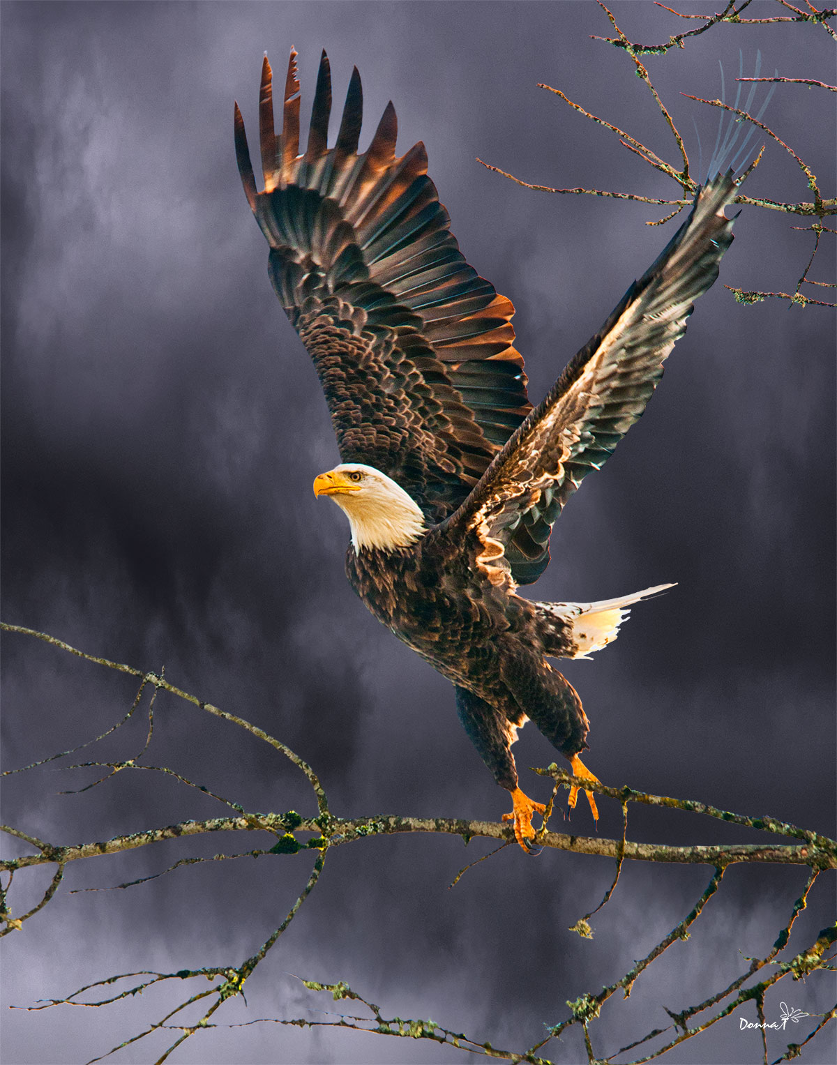 Stormy Departure